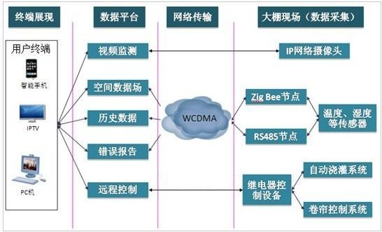 系统组成